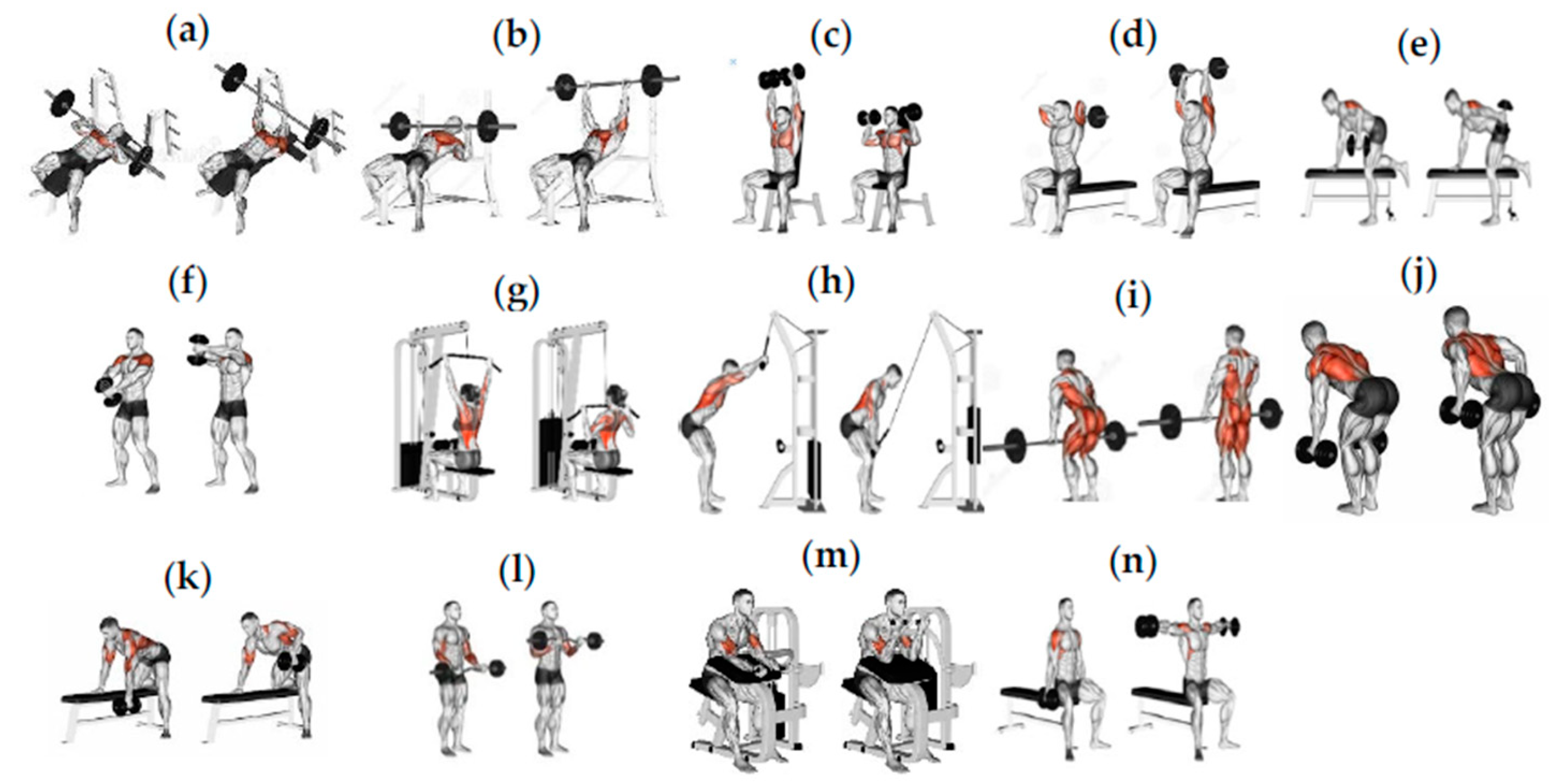 Processes 13 00207 g003