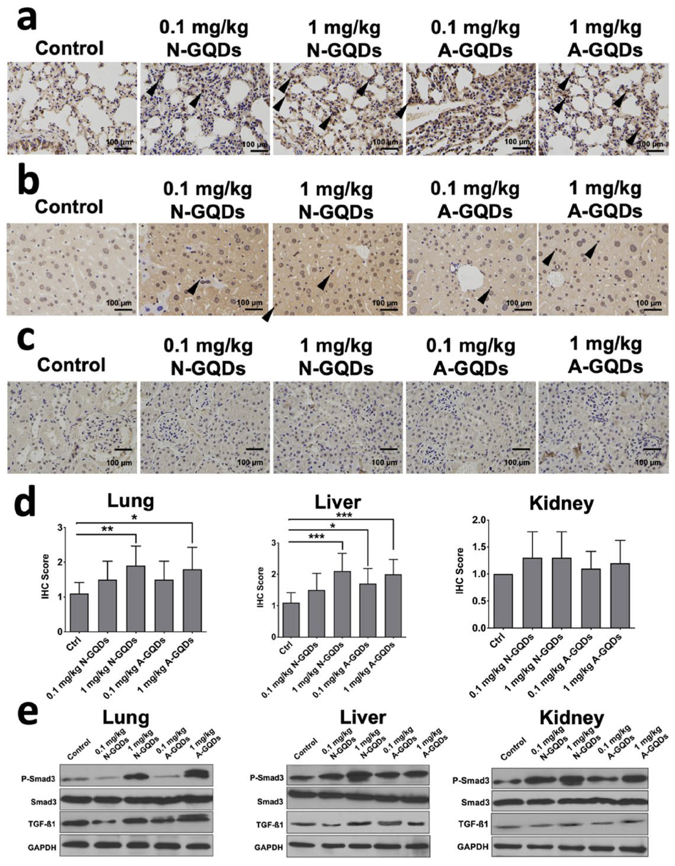 Processes 13 00209 g007