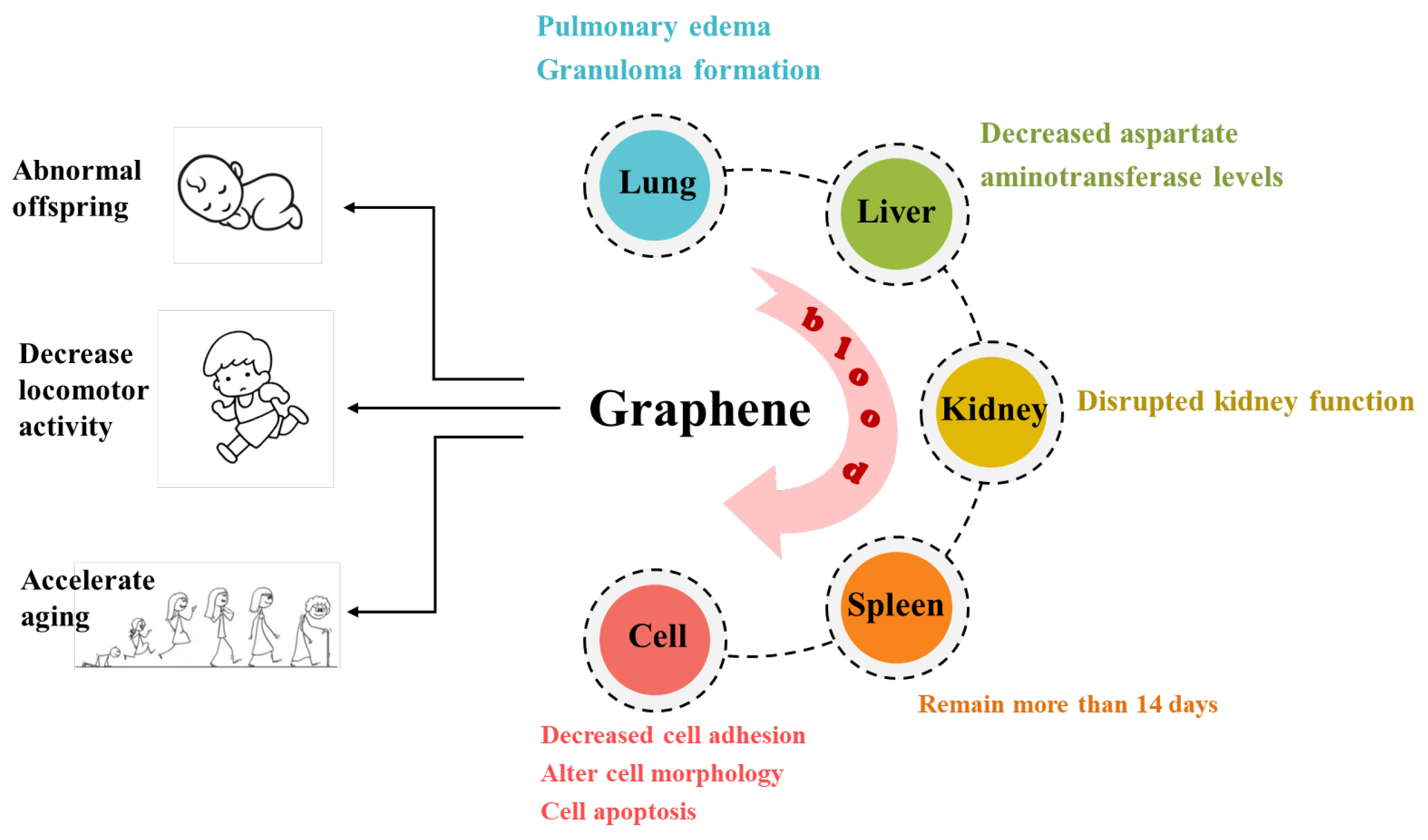 Processes 13 00209 g011