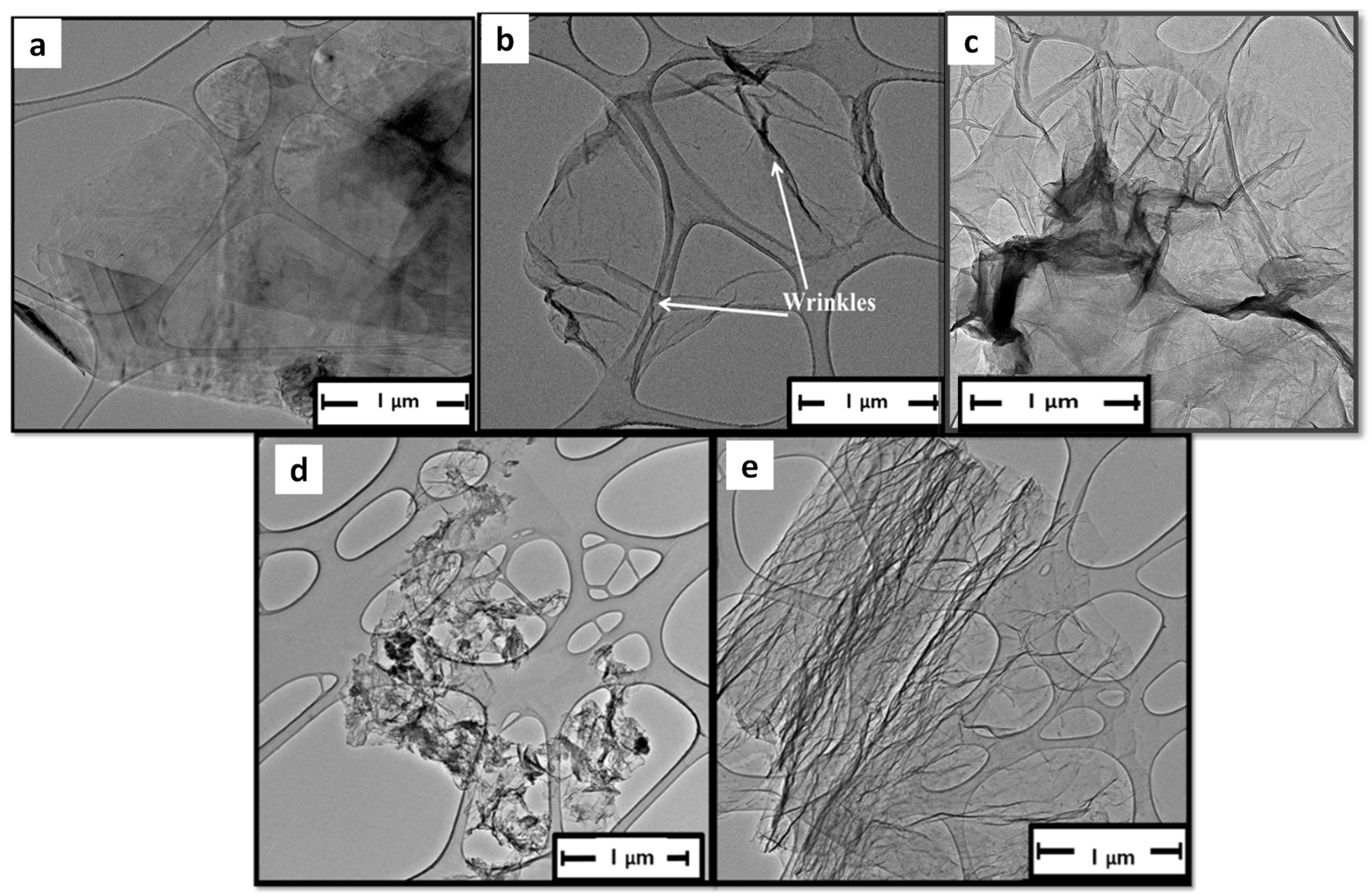 Processes 13 00216 g003