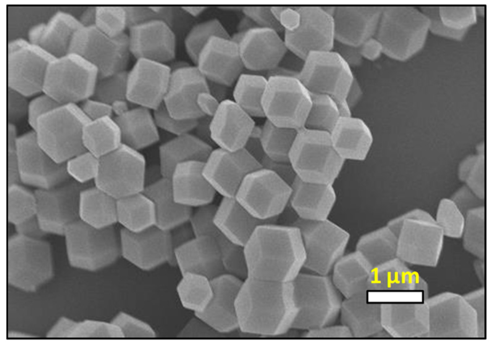 Processes 13 00218 g002