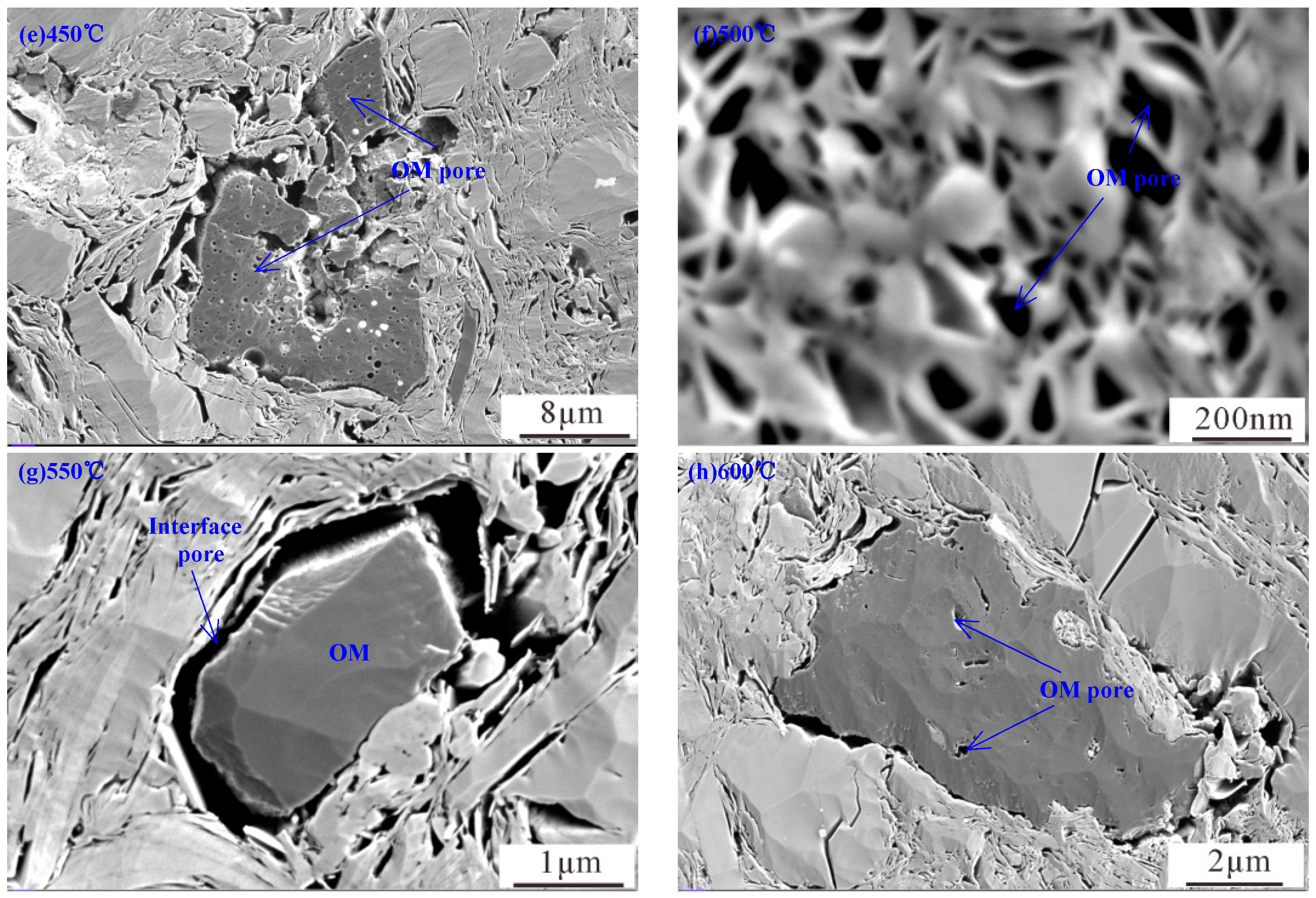 Processes 13 00246 g002b