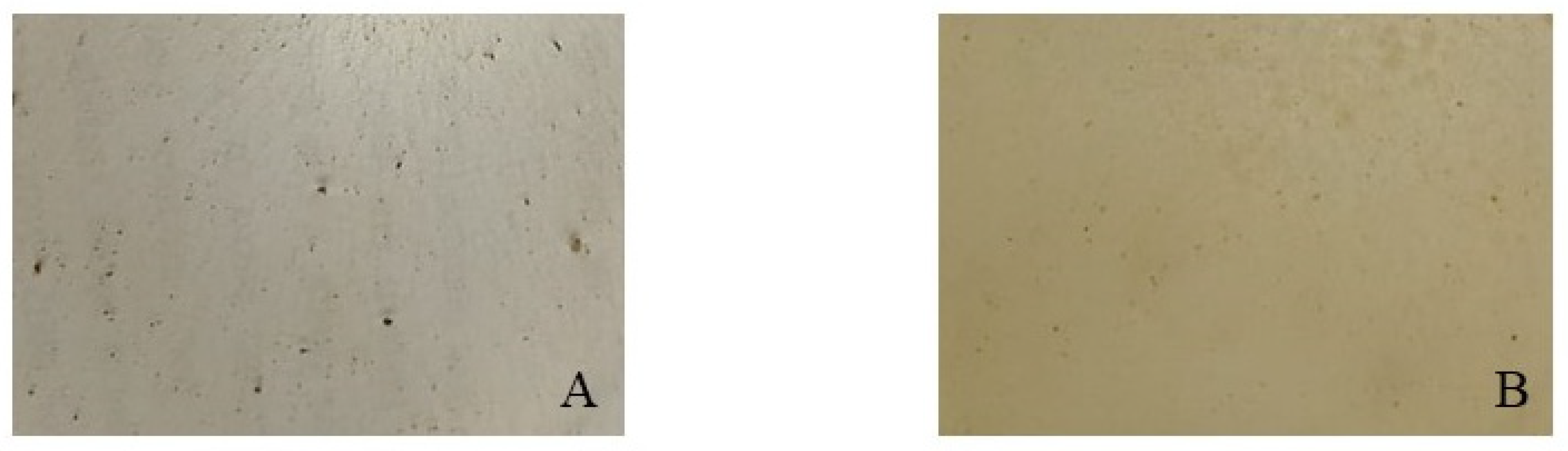 Processes 13 00250 g001