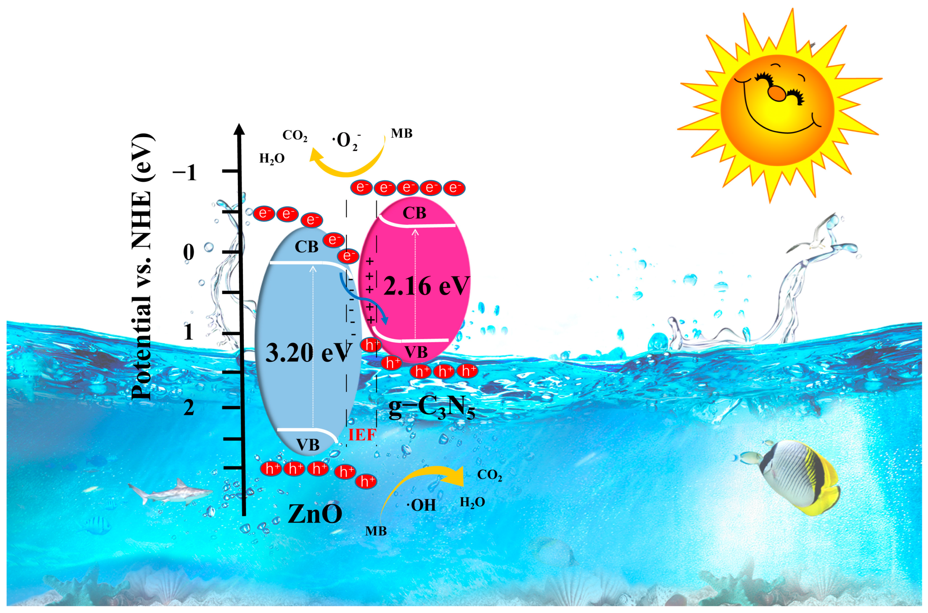 Processes 13 00253 g011