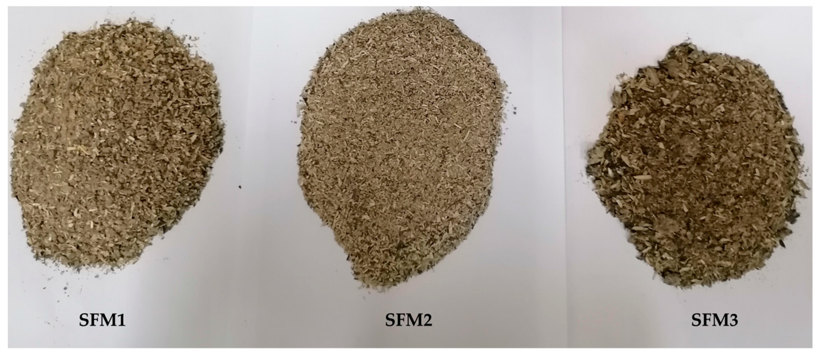 Processes 13 00255 g001