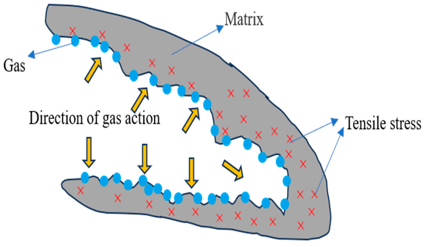 Processes 13 00270 g024