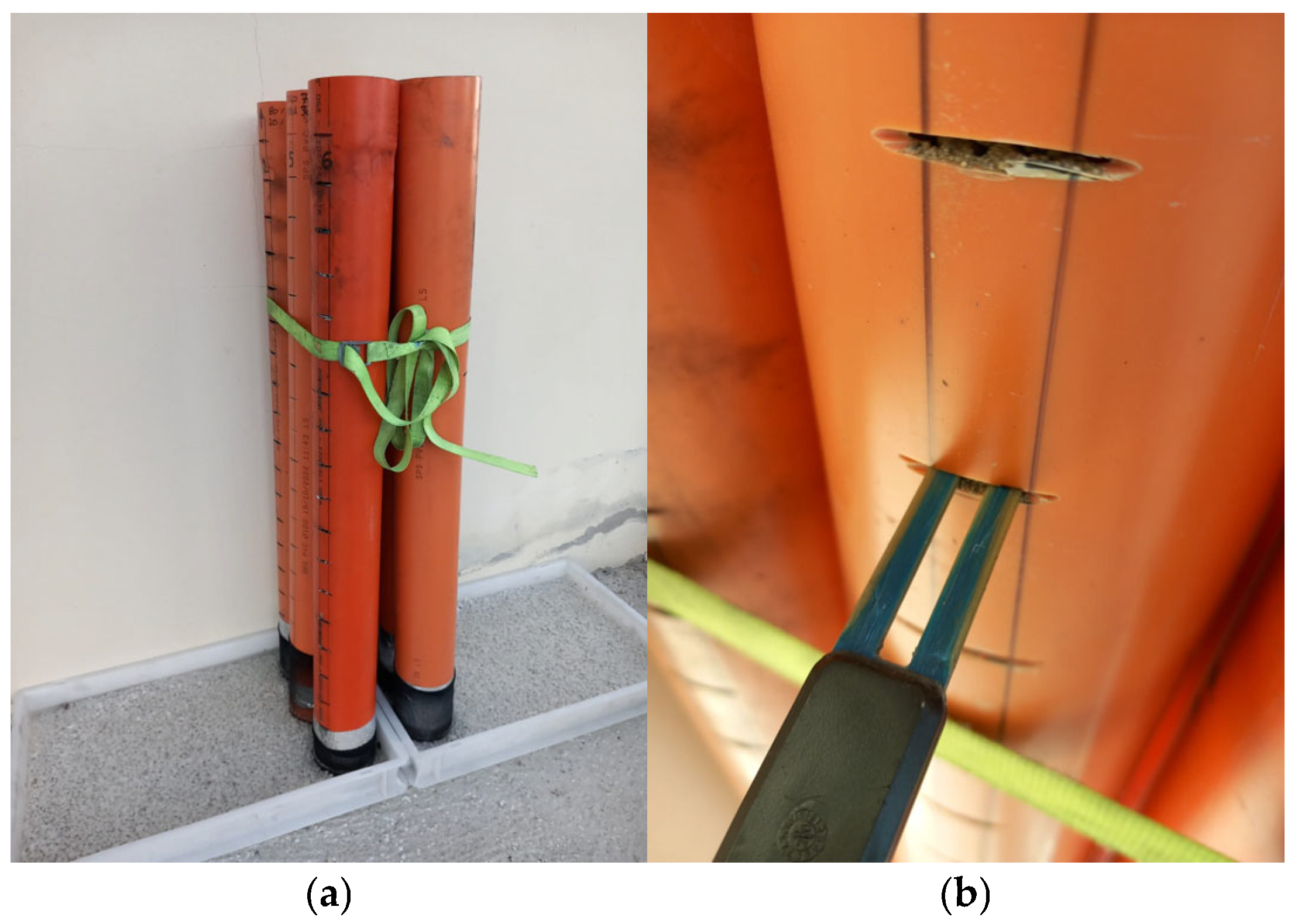 Processes 13 00279 g002