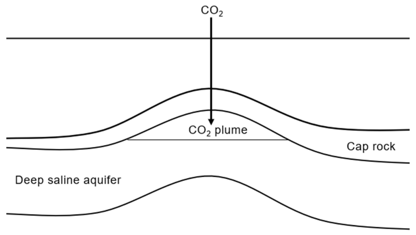 Processes 13 00283 g012