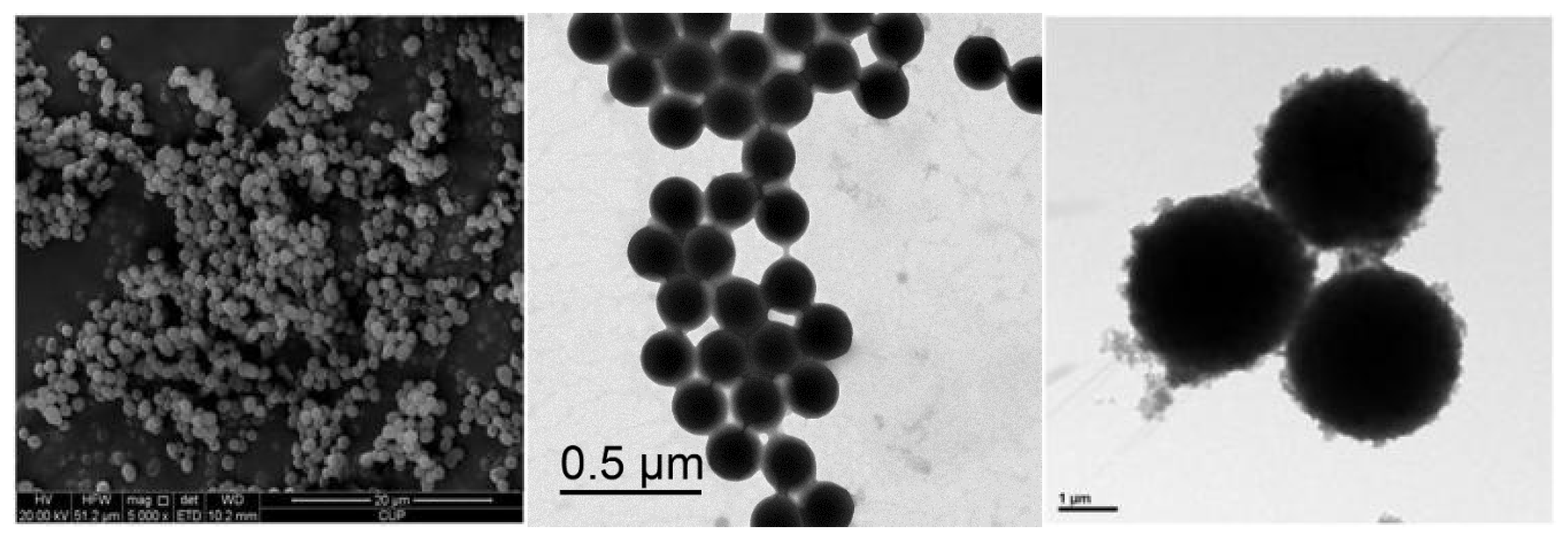 Processes 13 00289 g010