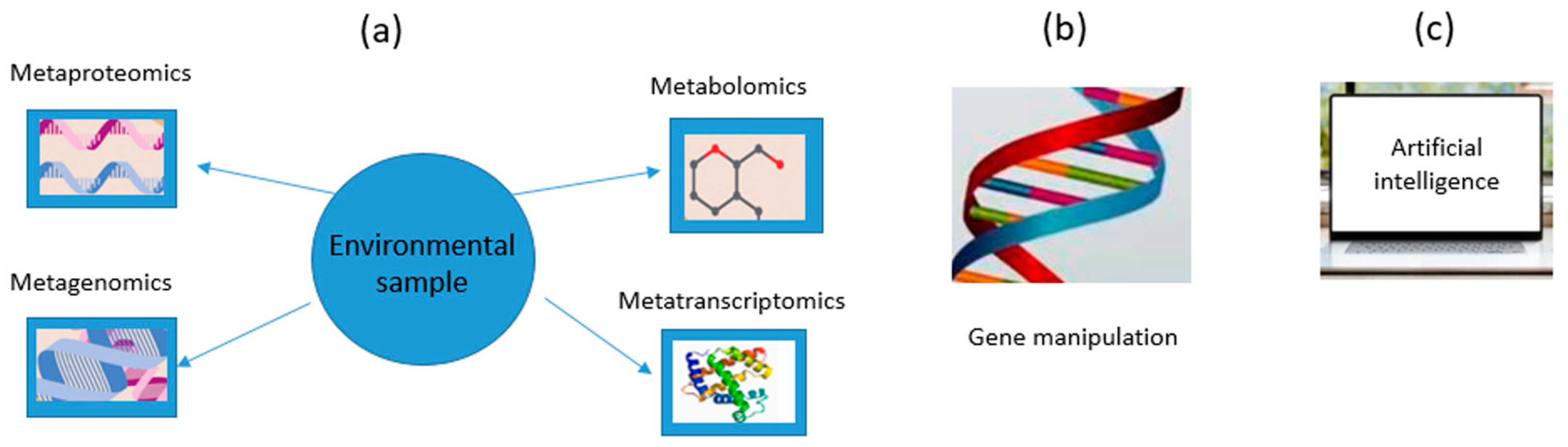 Processes 13 00294 g004