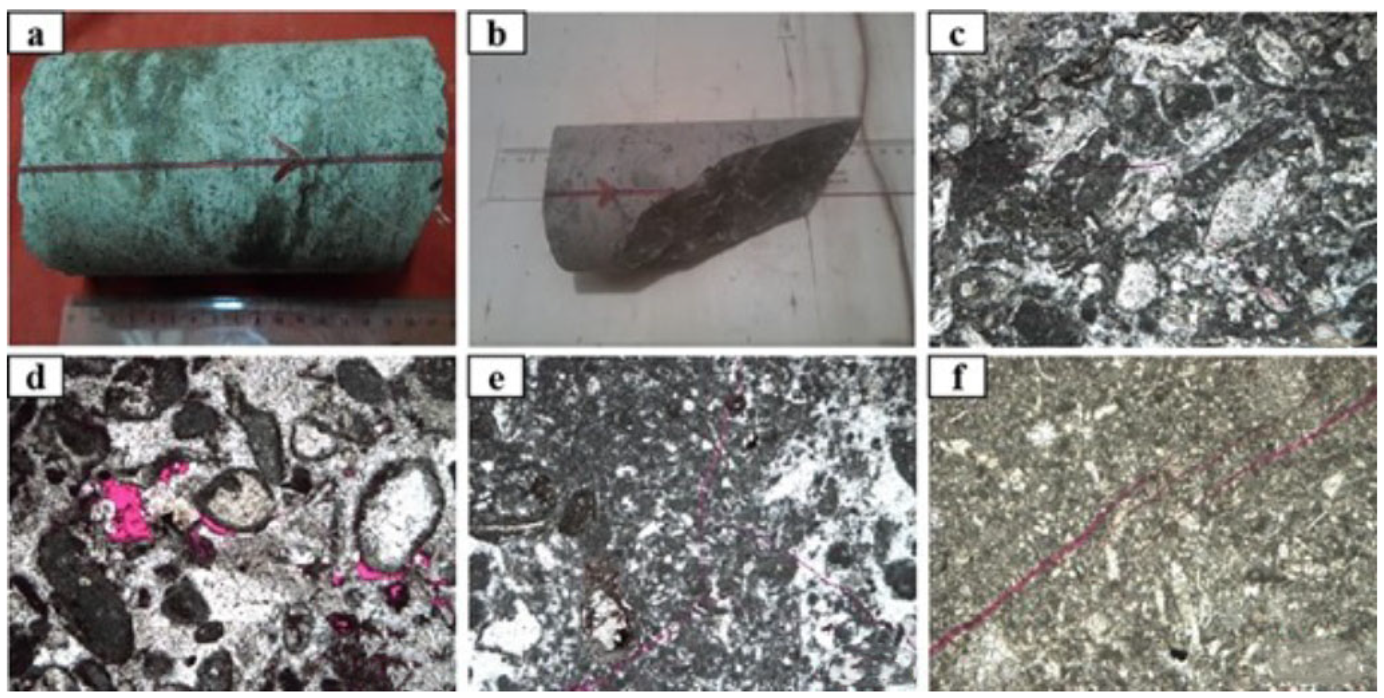 Processes 13 00310 g008