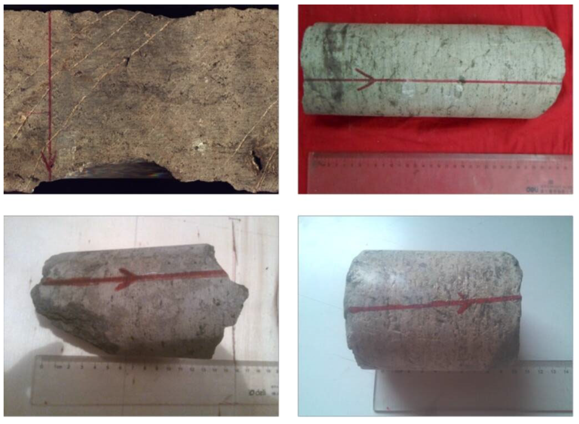 Processes 13 00310 g018