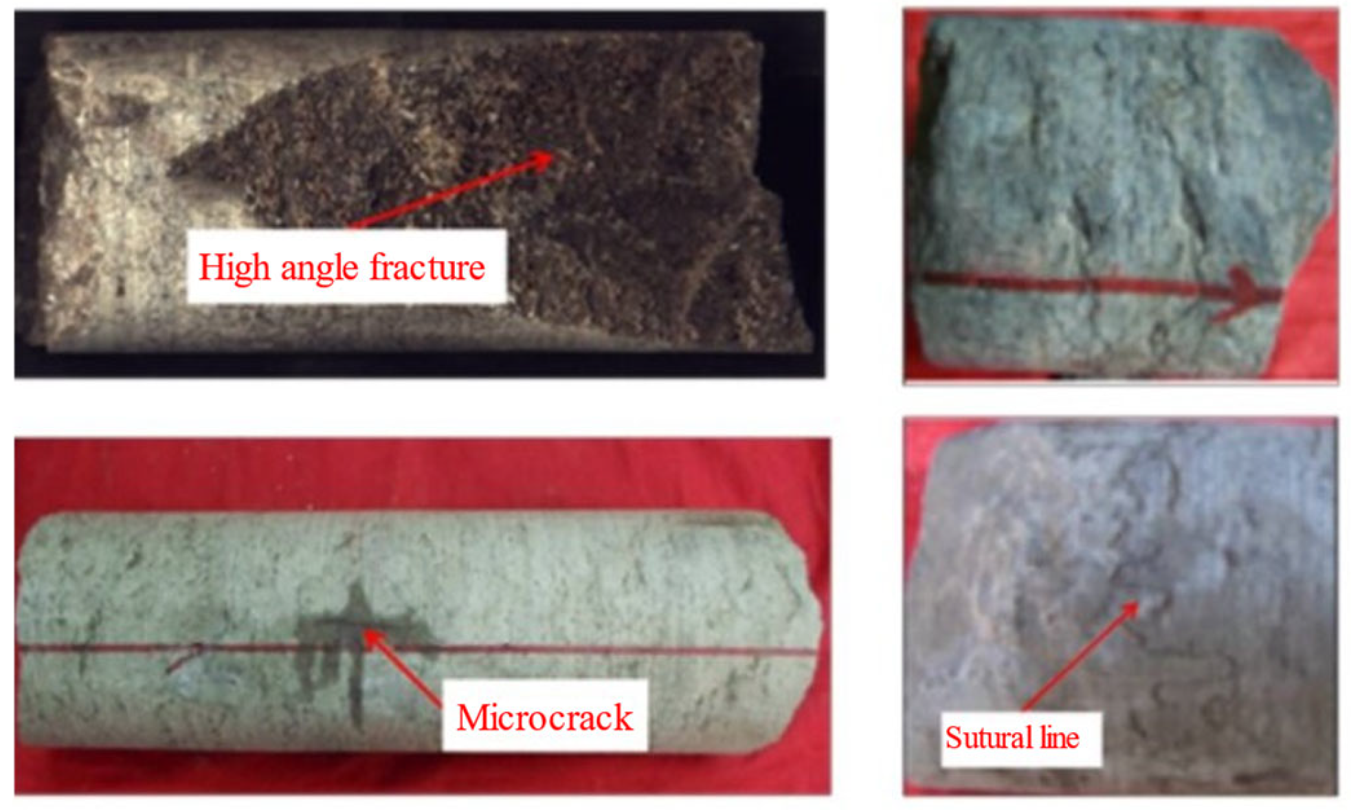 Processes 13 00310 g020