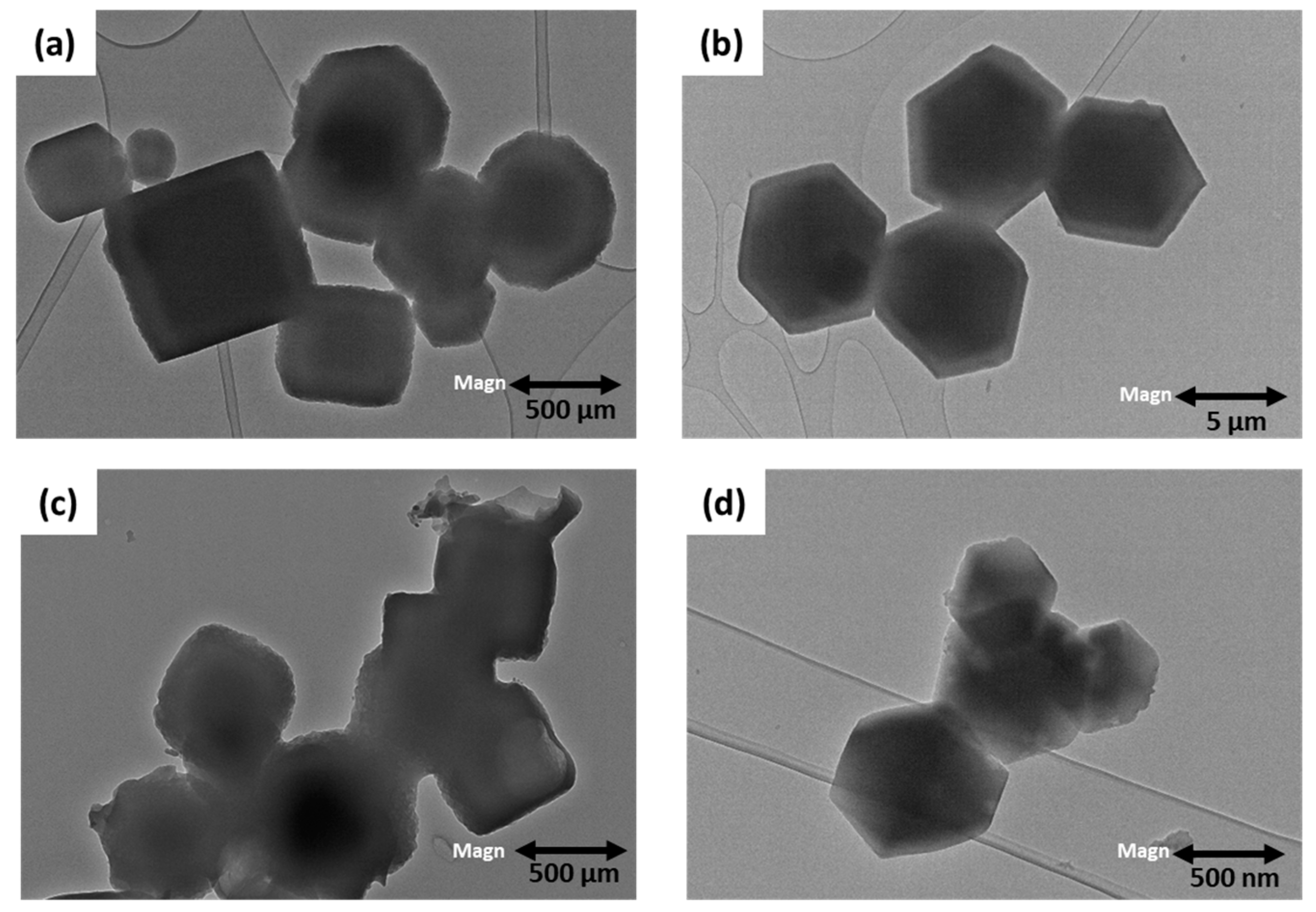 Processes 13 00320 g006