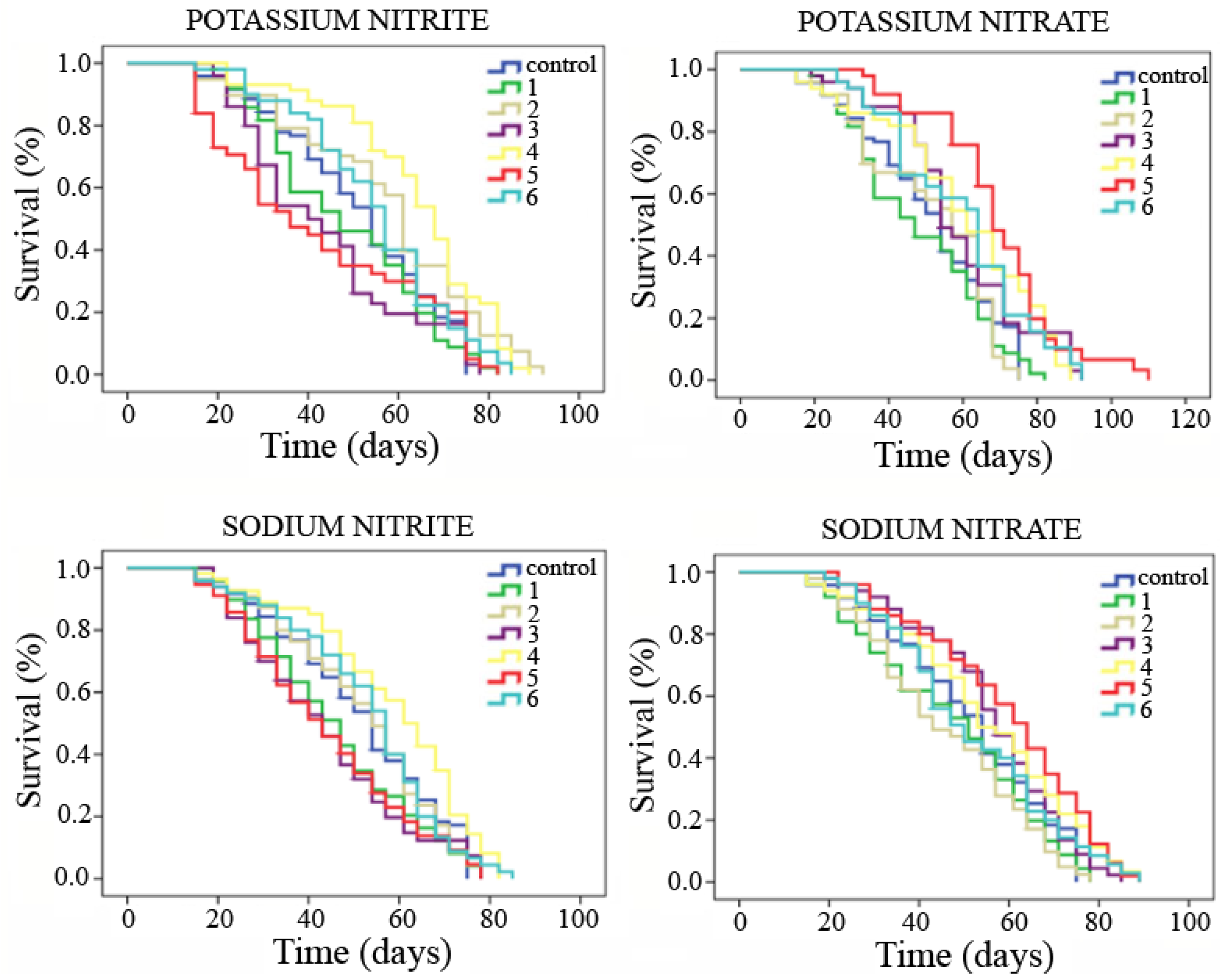 Processes 13 00325 g003