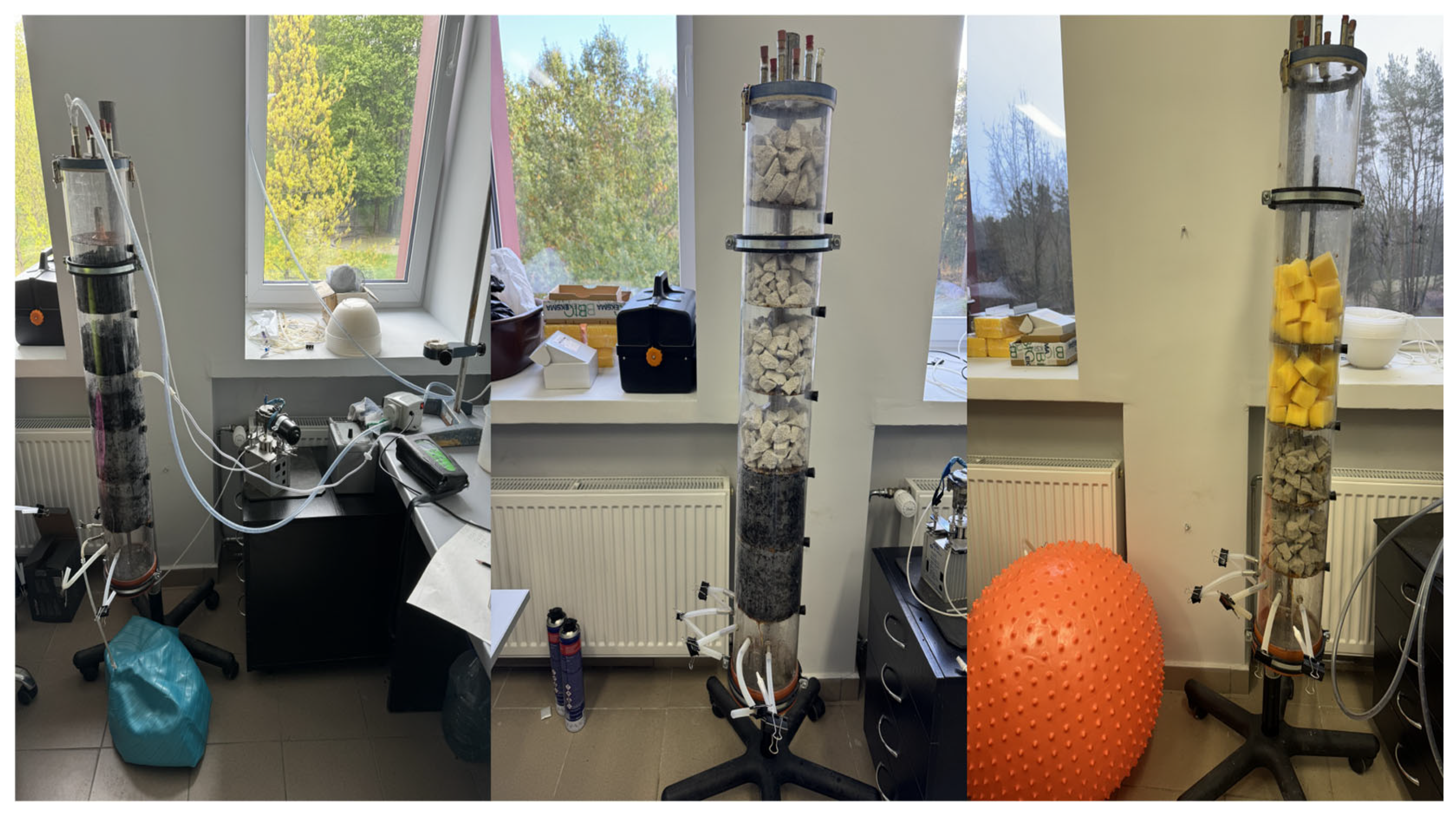 Processes 13 00329 g001