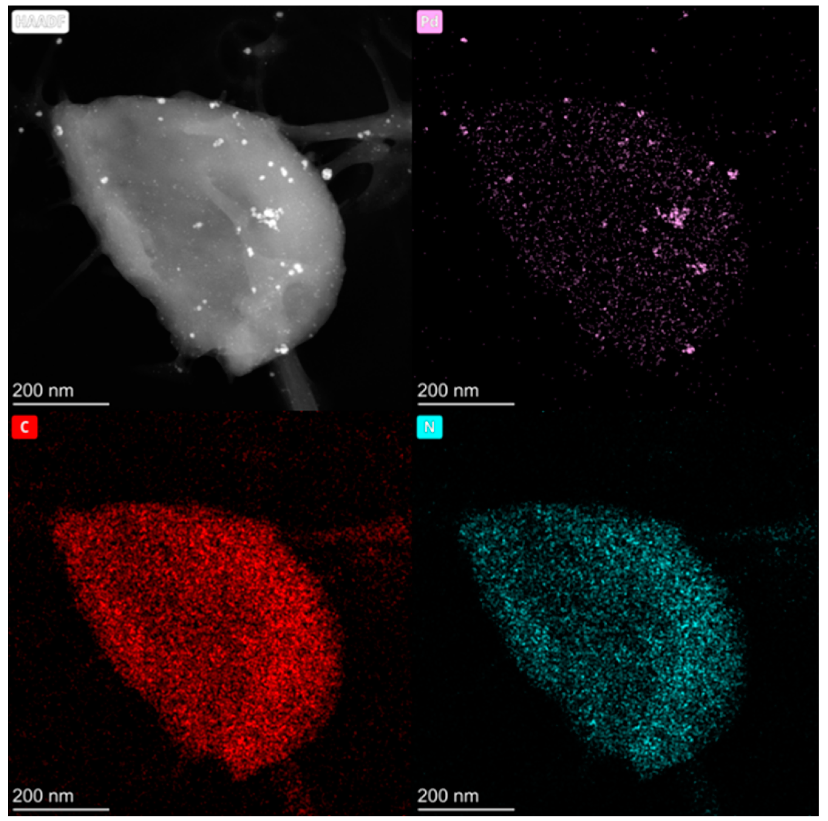 Processes 13 00339 g004