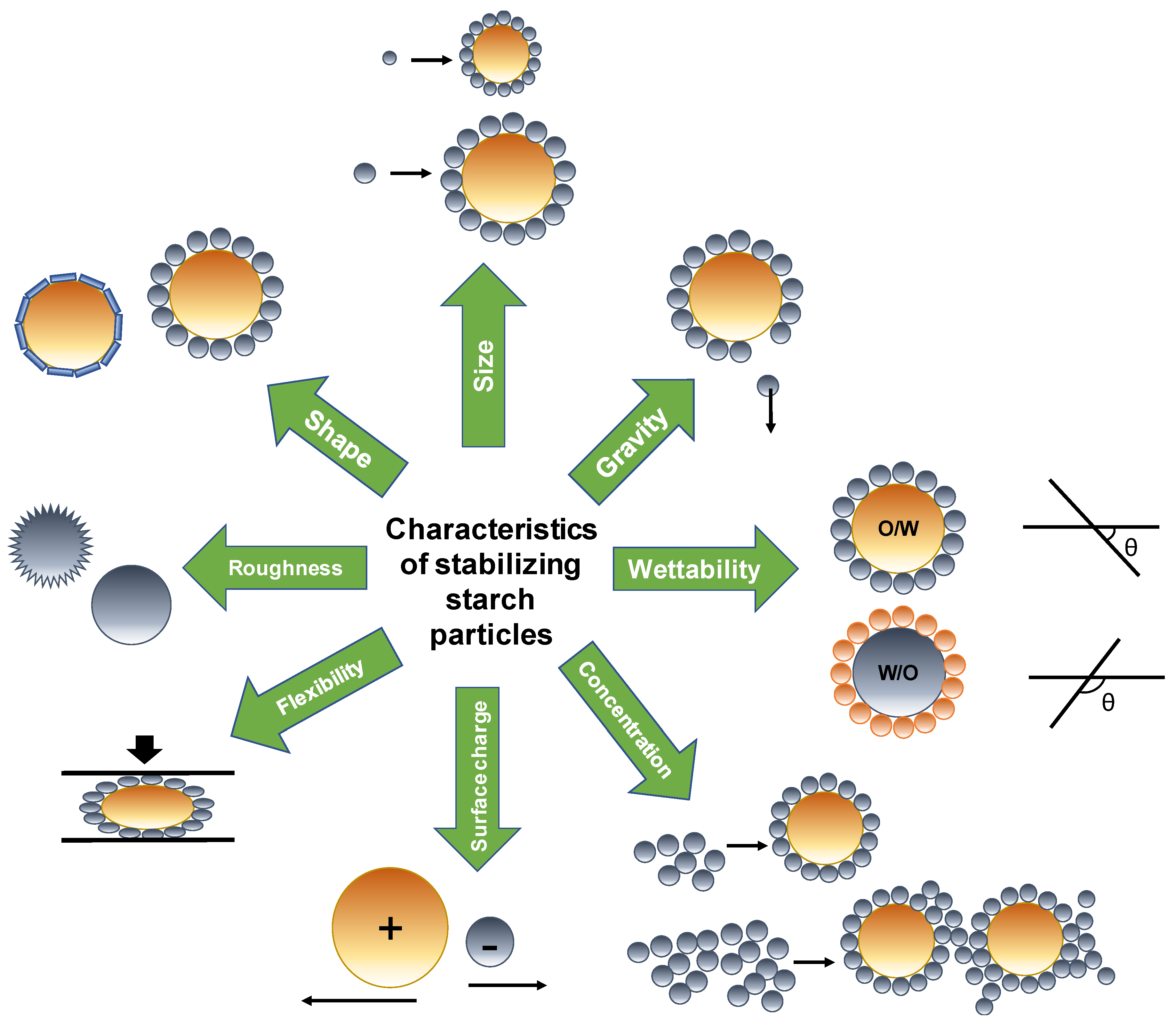 Processes 13 00342 g006