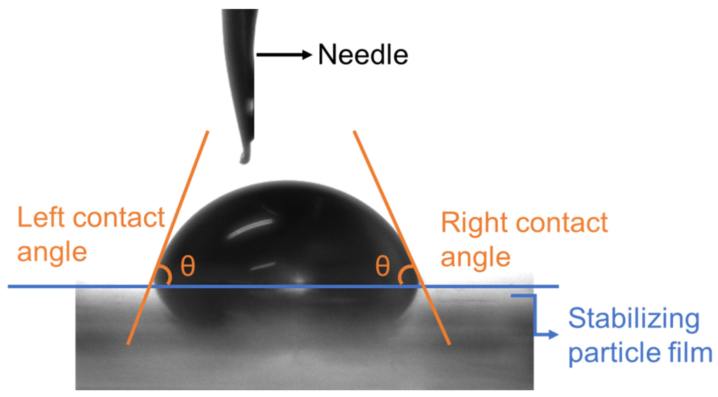 Processes 13 00342 g007
