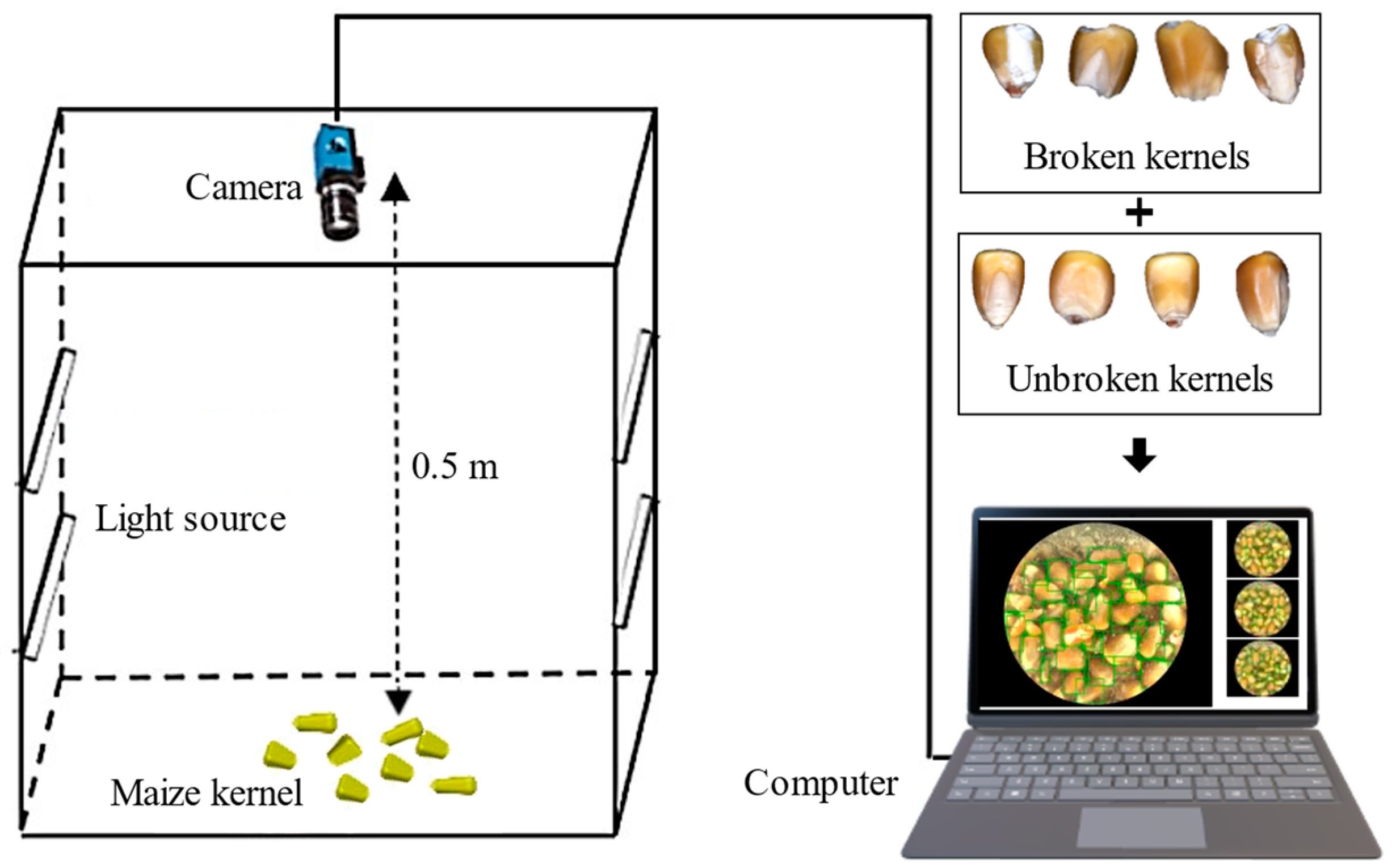 Processes 13 00346 g001