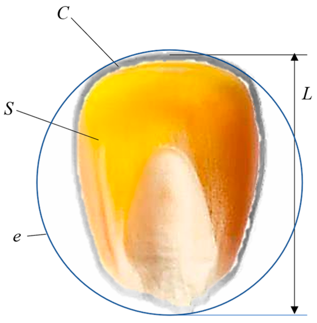 Processes 13 00346 g002