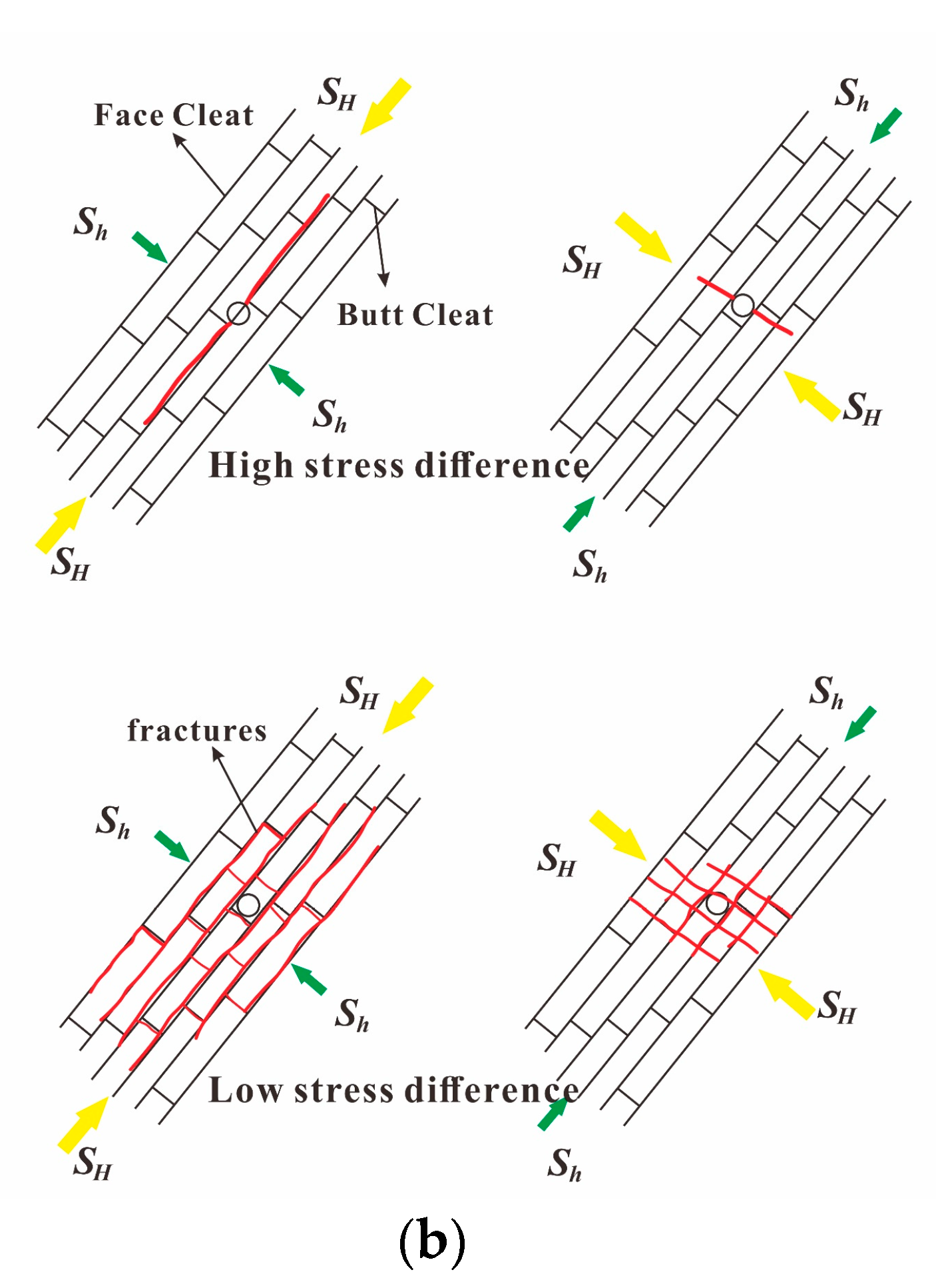 Processes 13 00352 g008b