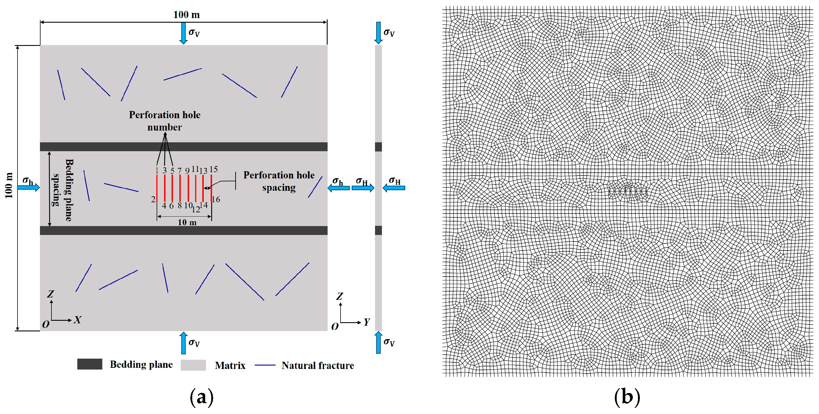 Processes 13 00362 g002