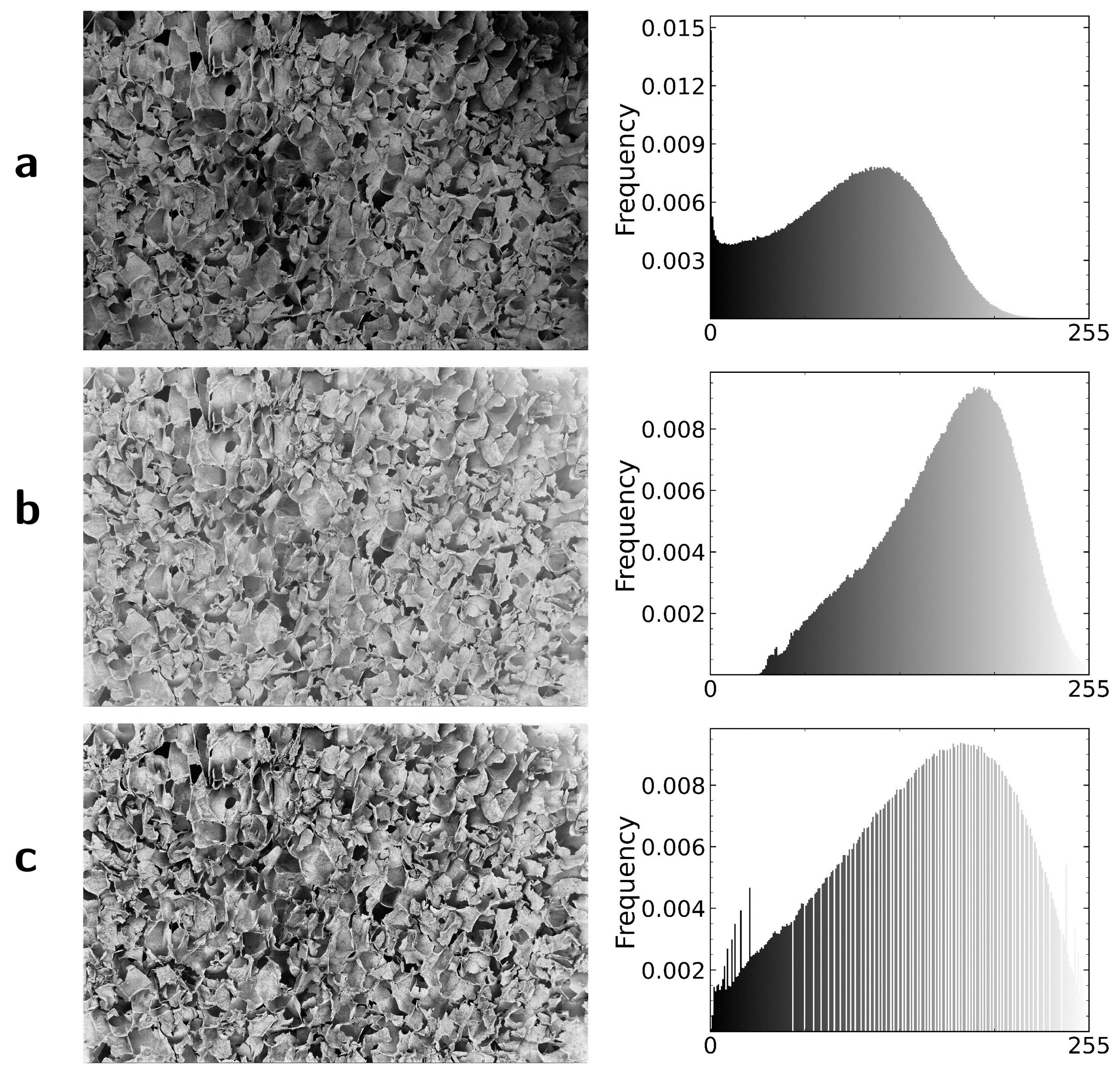 Processes 13 00365 g002