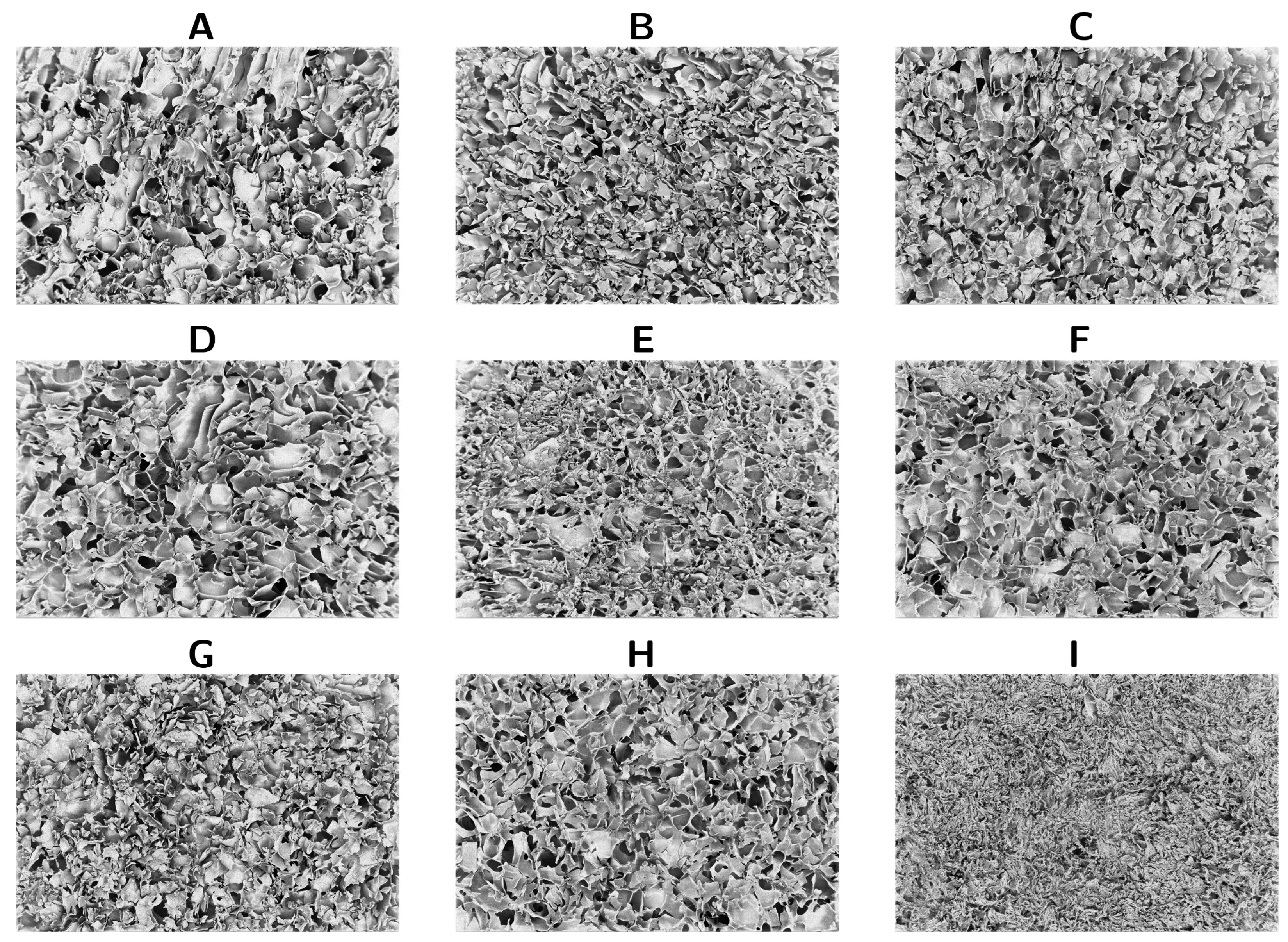 Processes 13 00365 g003