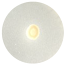 Processes 13 00374 i003