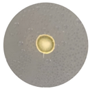 Processes 13 00374 i006