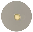 Processes 13 00374 i016