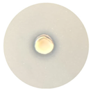 Processes 13 00374 i018