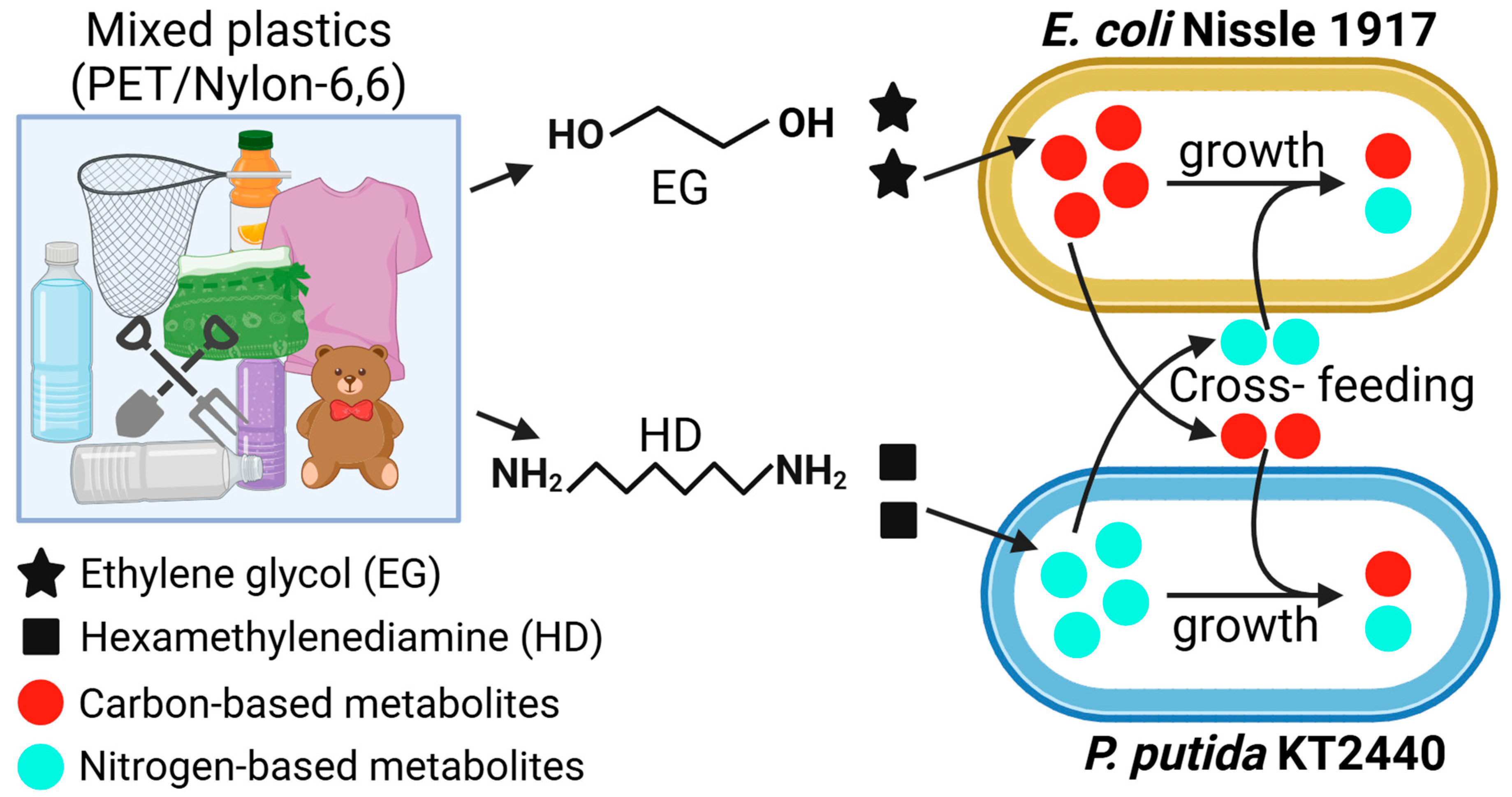 Processes 13 00375 g002