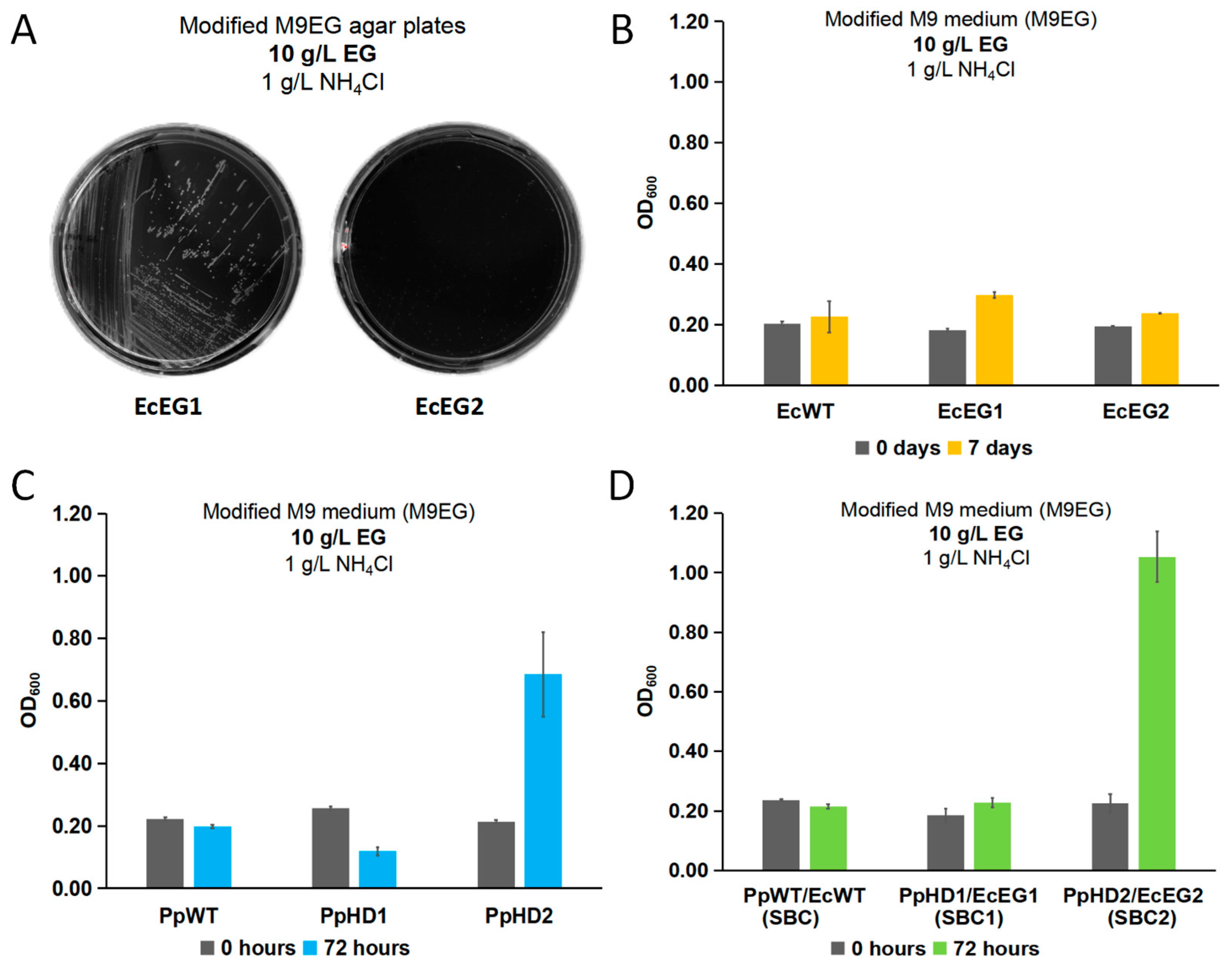 Processes 13 00375 g005