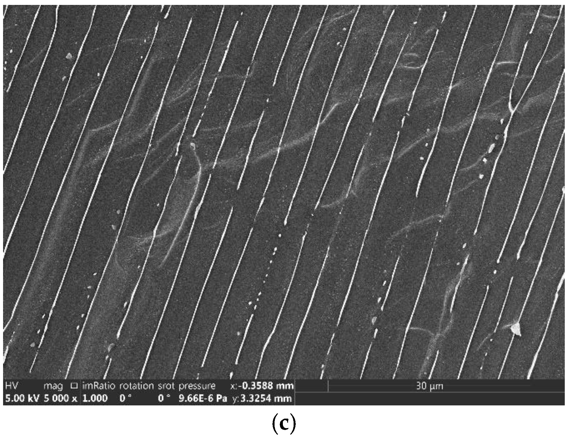 Processes 13 00376 g007b
