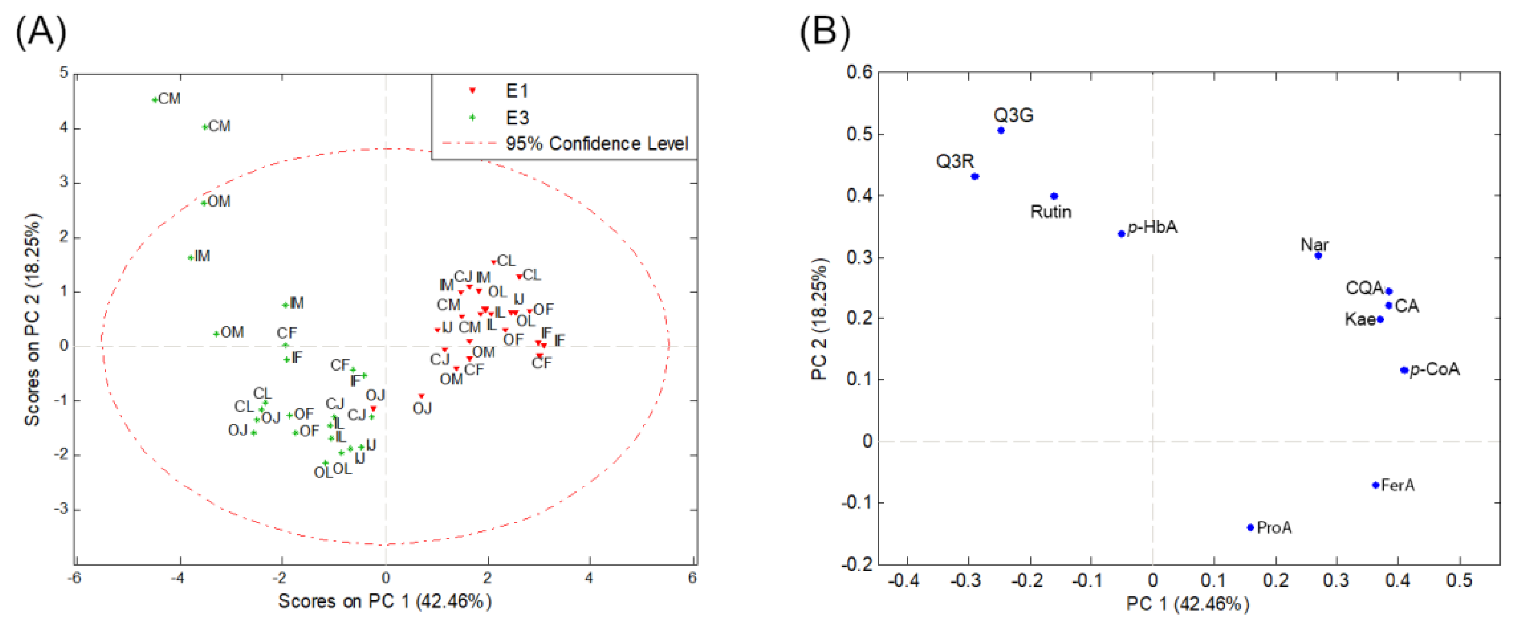 Processes 13 00396 g002