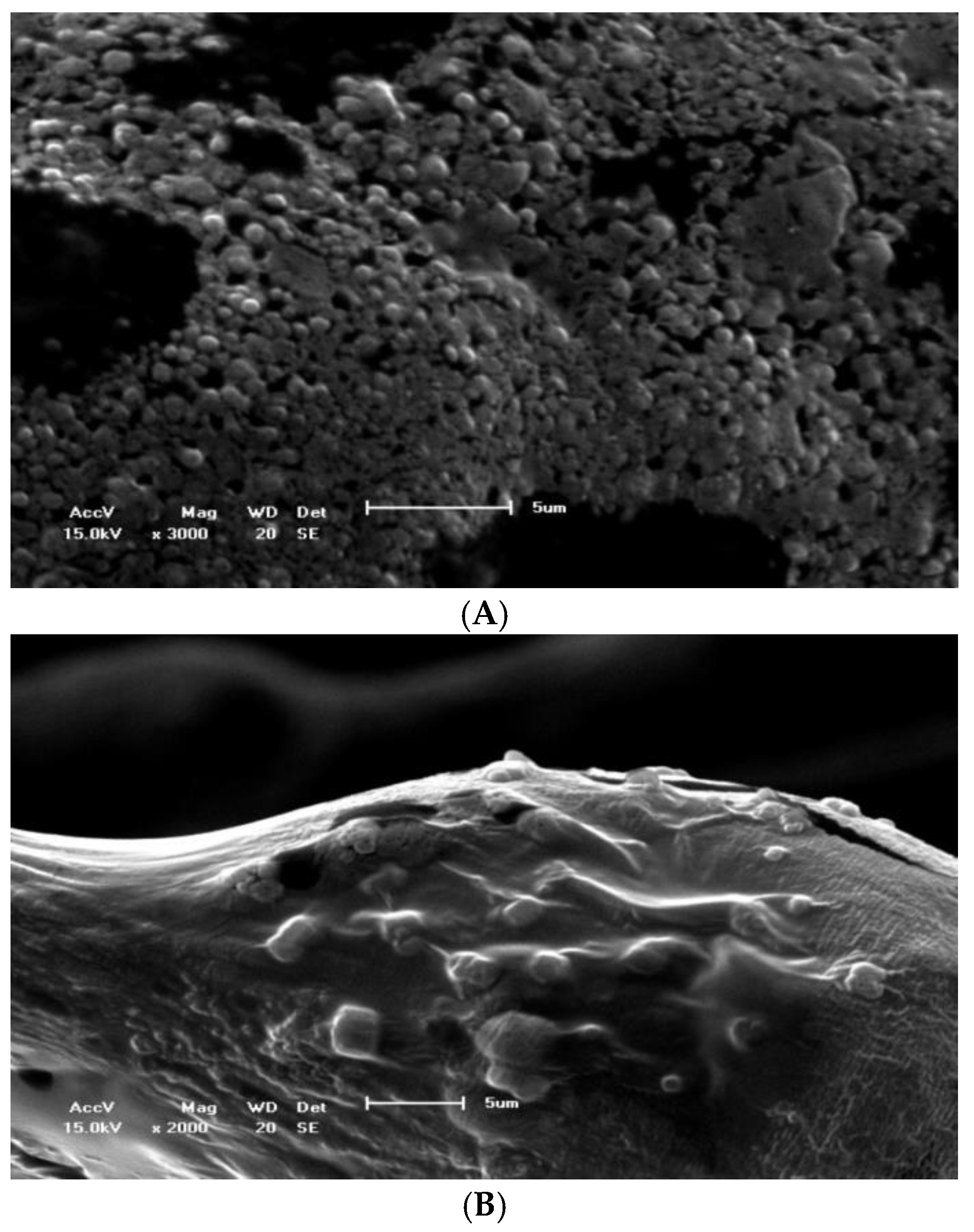 Processes 13 00397 g003