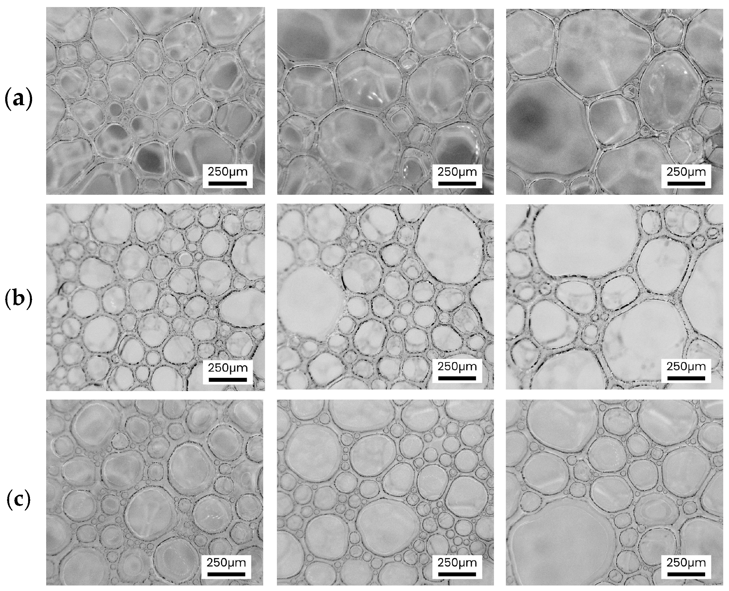 Processes 13 00403 g007
