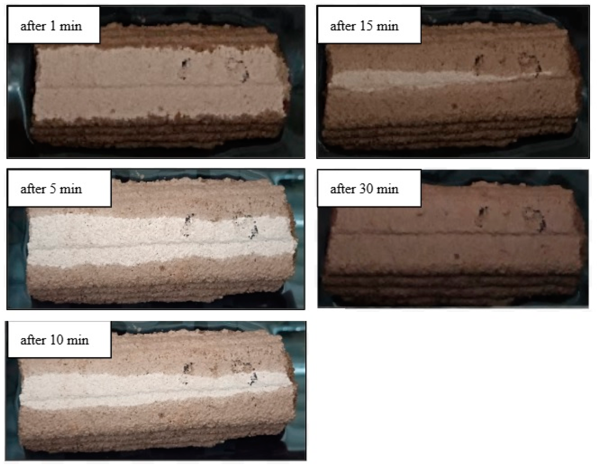 Processes 13 00403 g014