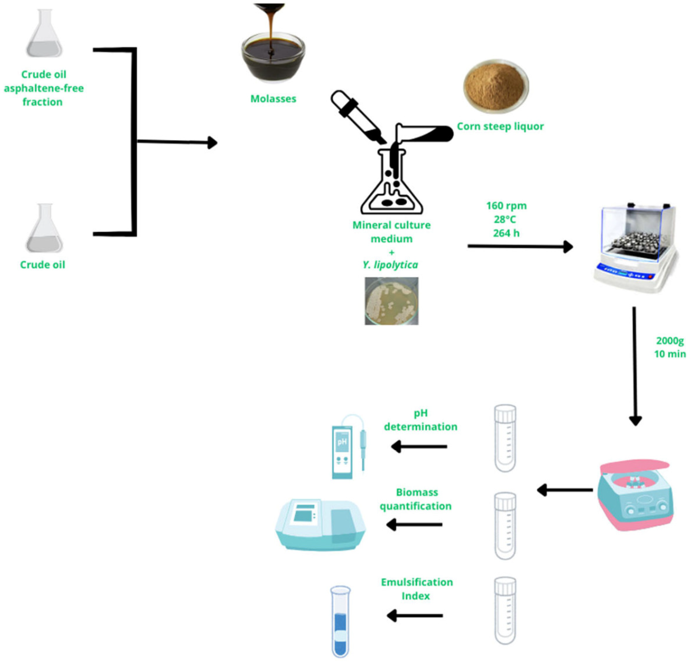 Processes 13 00412 g001