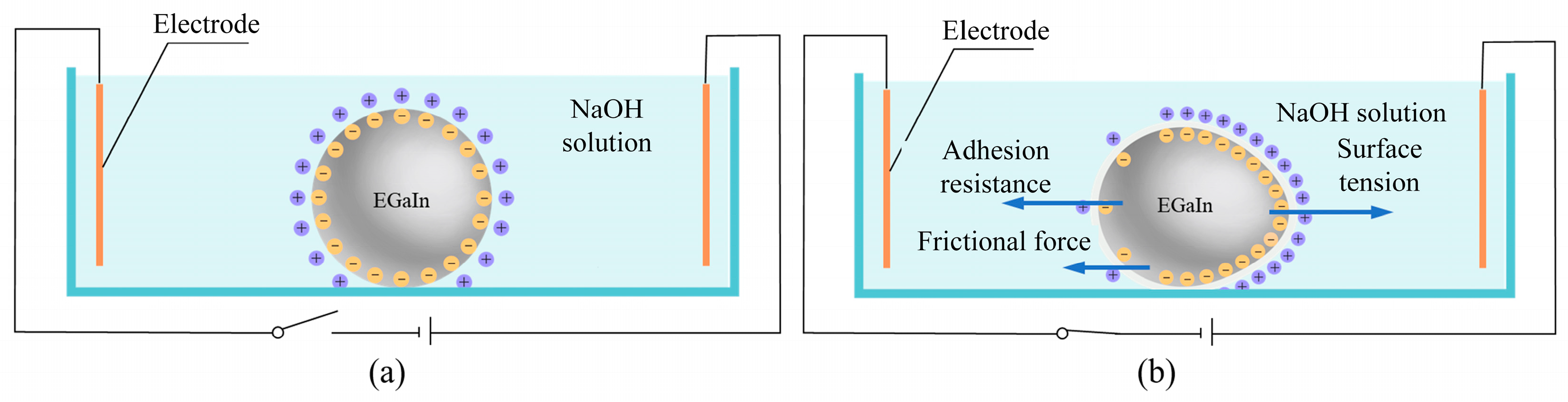 Processes 13 00416 g001