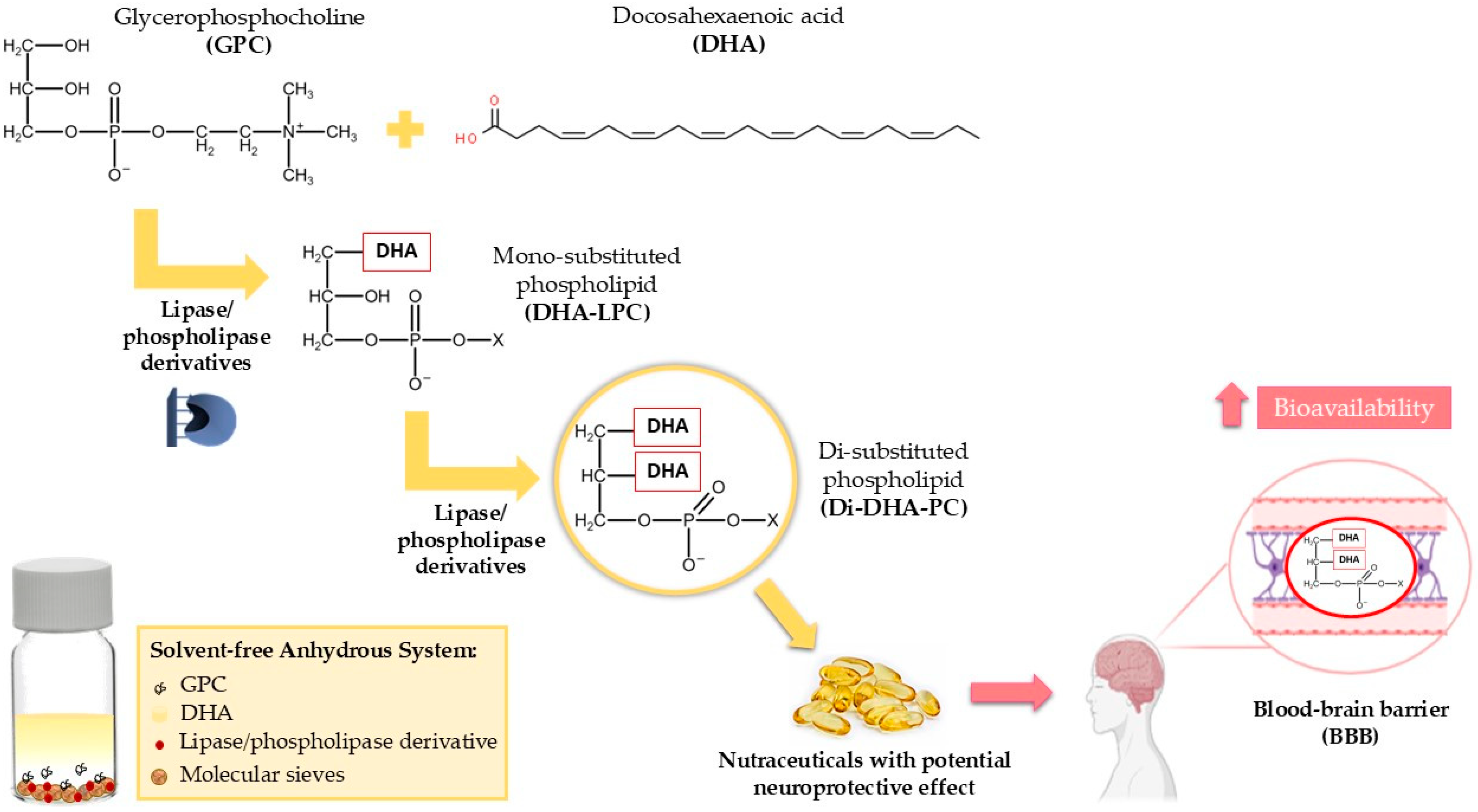 Processes 13 00442 g001