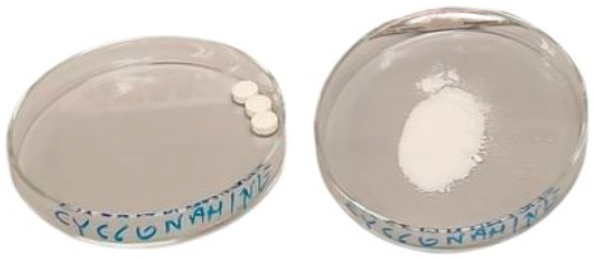 Processes 13 00444 g002 Processes 13 00444 g002