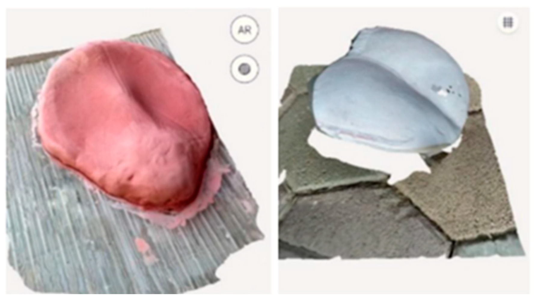 Processes 13 00454 g004