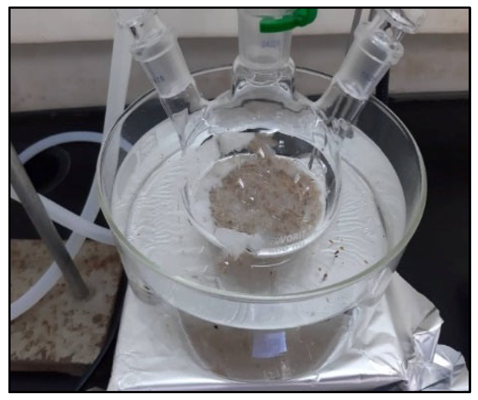 Processes 13 00463 g004