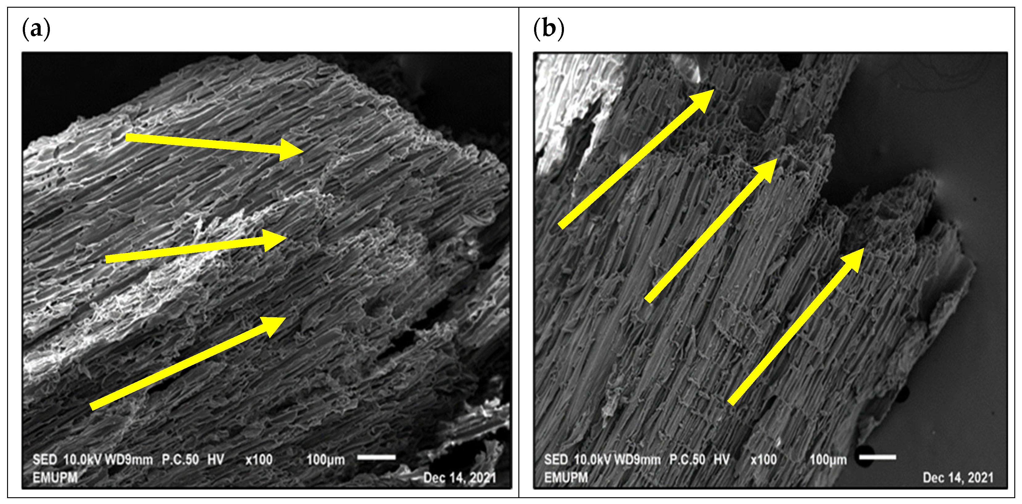 Processes 13 00463 g011