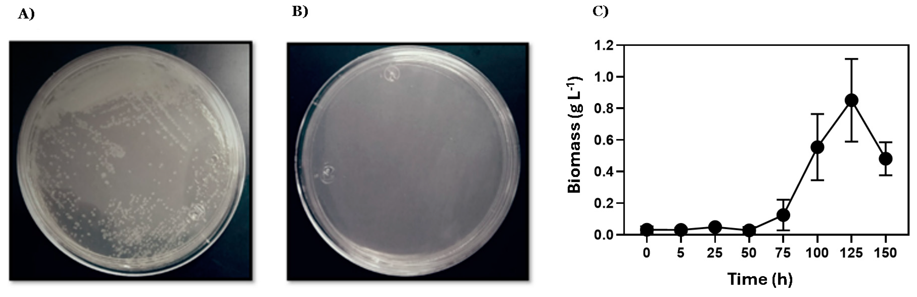 Processes 13 00470 g001