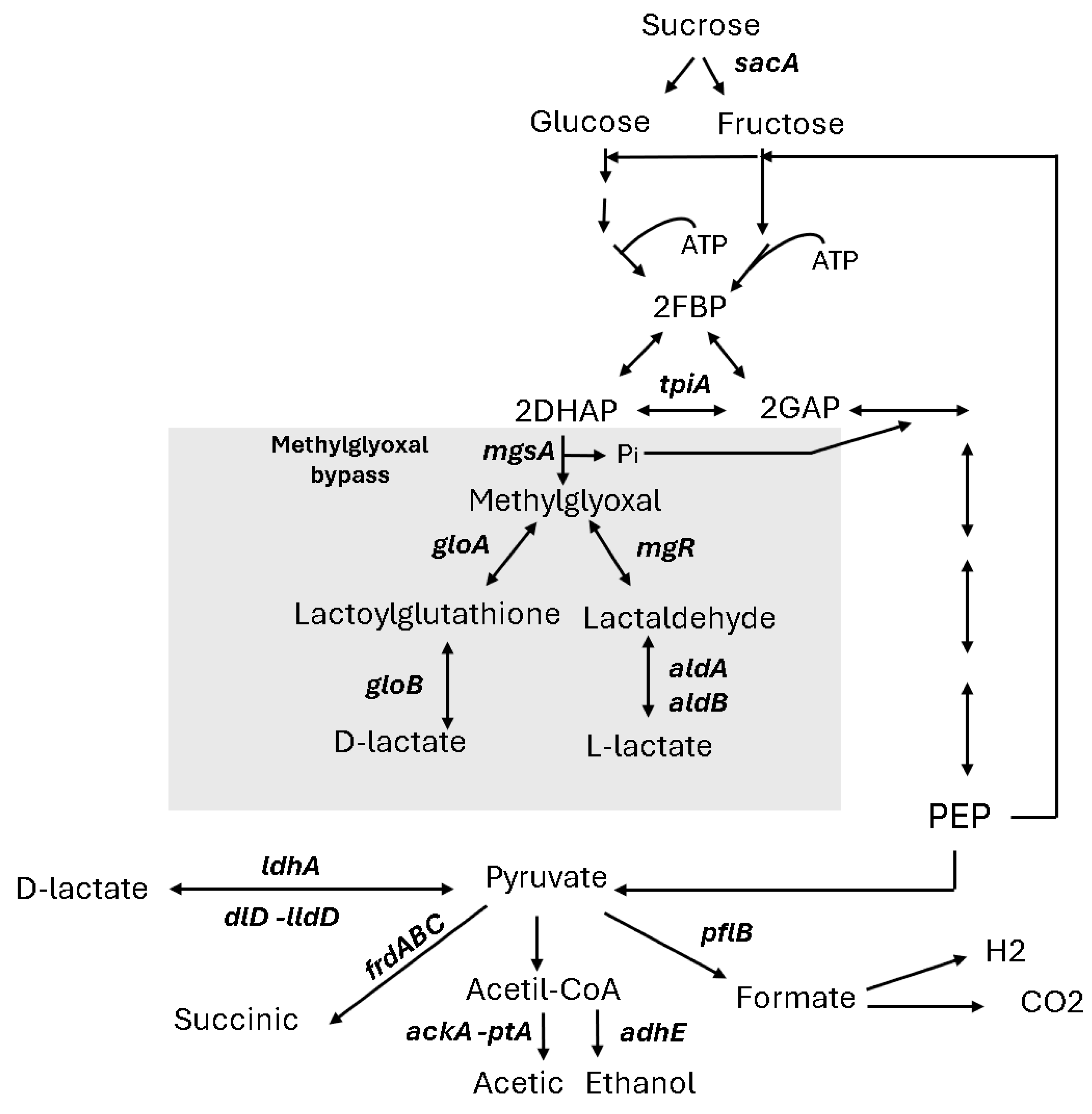 Processes 13 00470 g003