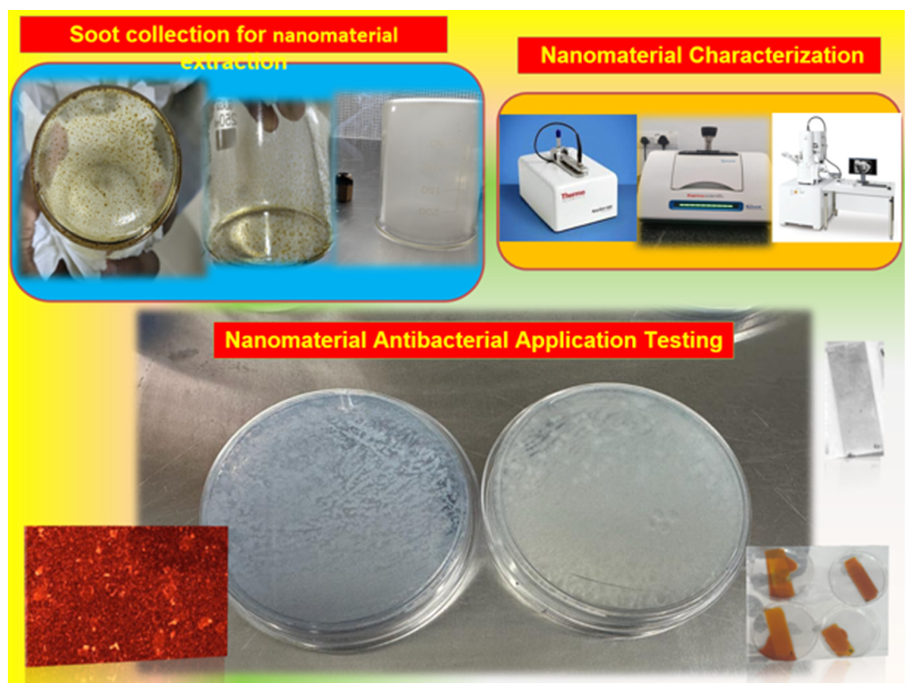 Processes 13 00484 g001